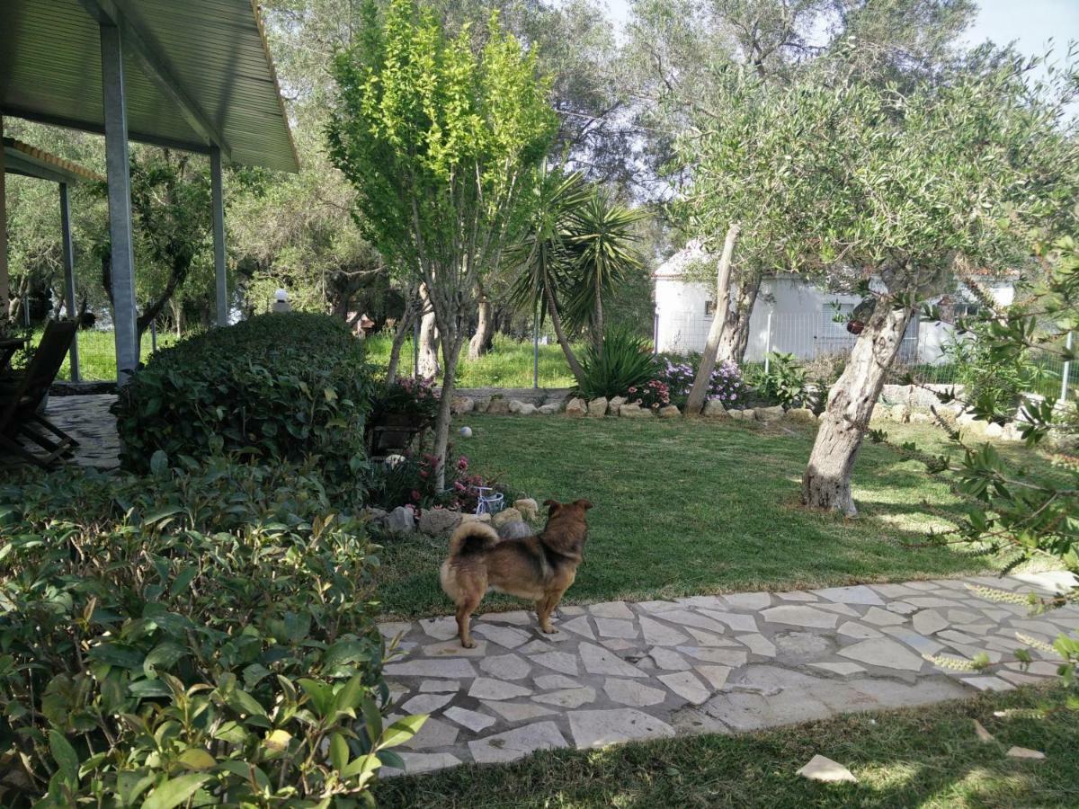 Βίλα Λου Notos Εξωτερικό φωτογραφία